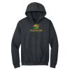 Montangelo Heavy Blend Hooded Sweatshirt Thumbnail