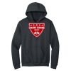 Montangelo Heavy Blend Hooded Sweatshirt Thumbnail