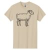 Montangelo Heavy Cotton 100% Cotton T Shirt Thumbnail